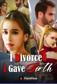 I Divorced the Day I Gave Birth
