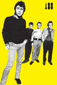 I Was a Teenage Sex Pistol