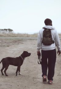 In the Red: Changing Lives to Save Lives