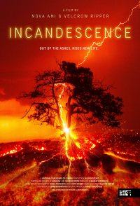 Incandescence