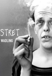 Jag är monstret - Filmen om Freddie Wadling