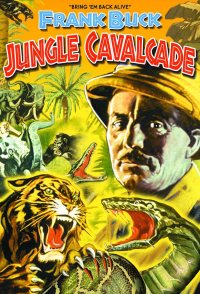 Jungle Cavalcade