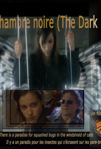 La chambre noire