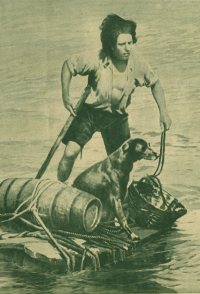 Les Aventures de Robinson Crusoé