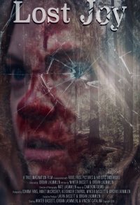 Lost Joy