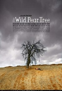 Making of the Wild Pear Tree