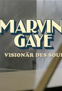 Marvin Gaye - Visionär des Soul