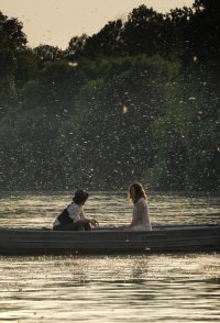 Mayflies