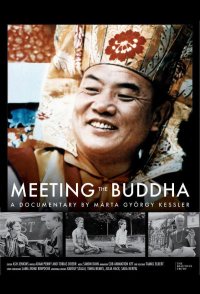 Meeting the Buddha