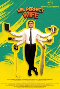 Mr Perfect Wife