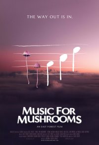 Music for Mushrooms