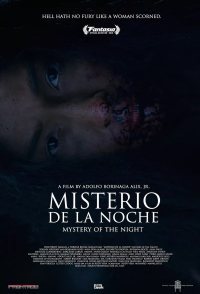 Mystery of the Night