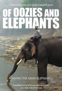 Of Oozies and Elephants