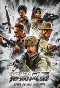 Owl Hunt Storm