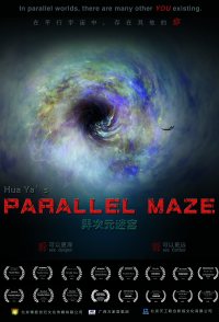 Parallel Maze