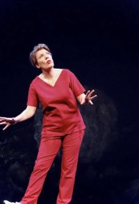 Paulien Cornelisse - Aanstalten