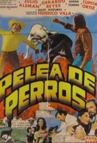 Pelea de perros