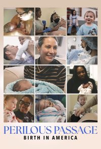 Perilous Passage: Birth in America