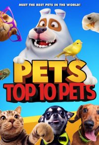 Pets: Top 10 Pets