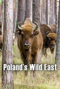 Poland's Wild East