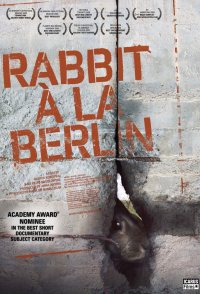 Rabbit à la Berlin