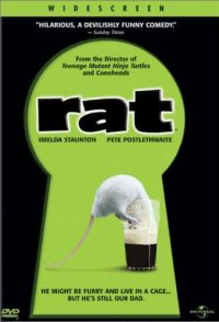 Rat