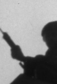 Reaction: A Portrait of a Society in Crisis