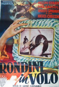 Rondini in volo