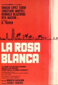 Rosa blanca