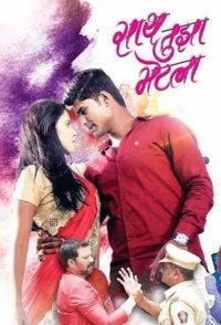 Saath Tujha Bhetla