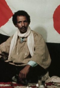 Sahara Is Not for Sale