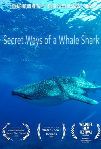 Secret Ways of a Whale Shark