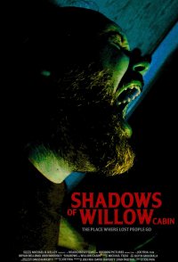 Shadows of Willow Cabin