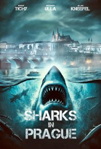Sharks in Prague
