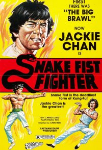Snake Fist Fighter