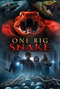 Snake Infestation