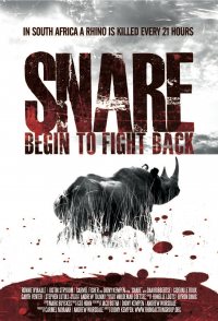 Snare