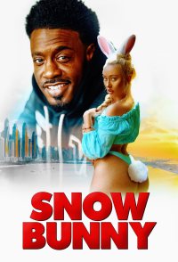 Snow Bunny Chronicles