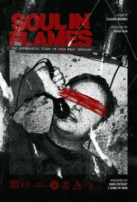 Soul in Flames