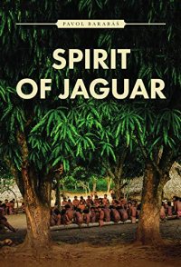 Spirit of Jaguar