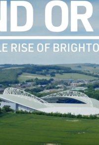 Stand or Fall: The Remarkable Rise of Brighton and Hove Albion