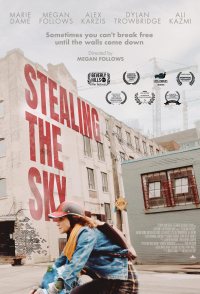 Stealing the Sky