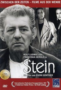 Stein