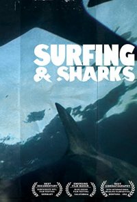 Surfing and Sharks