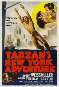 Tarzan's New York Adventure