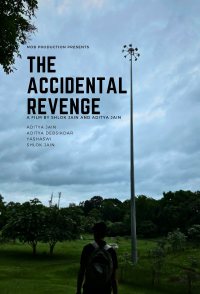 The Accidental Revenge