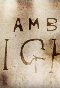 The Amber Light