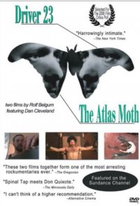 The Atlas Moth