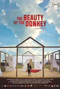 The Beauty of the Donkey