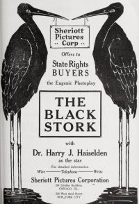 The Black Stork